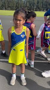 Image result for Hornets Netball Club