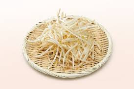 Image result for bean sprout