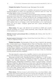 Attēlu rezultāti vaicājumam “Diderma montanum spores”