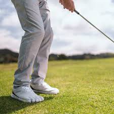 Image result for Apollo Gc