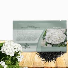 Attēlu rezultāti vaicājumam “Dianthus arenarius bud”