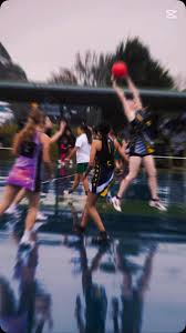 Image result for Hornets Netball Club