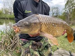 Image result for Cheadle Angling Club
