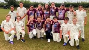 Image result for Narberth Cricket Club