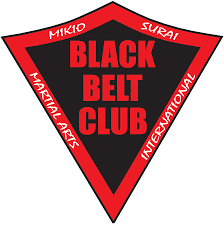 Image result for Sokudo Martial Arts Club