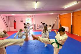 Image result for Mirfield Martial Arts Club