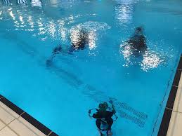 Image result for Seaham Sub Aqua Club
