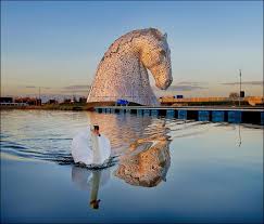 Image result for Scottish Equi Complex