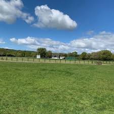 Image result for Ivybridge Cricket Club