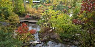 Image result for japanese gardens...