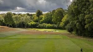 Image result for Dorking Golf Club
