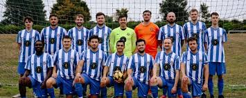 Image result for Shalford F C