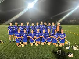 Image result for St Rita`s Camogie Club