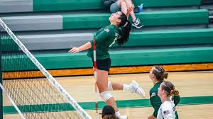 Image result for Calne Volleyball Club