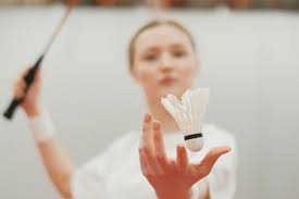 Image result for Gloucester Borderers Badminton Club