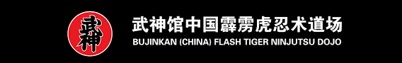 Image result for Bujinkan Ninpo Dojo