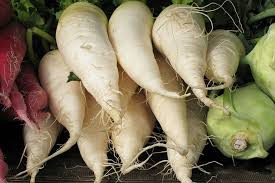 Image result for Rettich