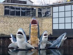 Image result for London Sharks Floorball Club