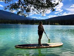 Image result for Paddletastic