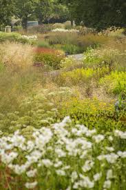 Image result for Piet Oudolf