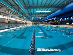 Image result for Jersey Sub Aqua Club