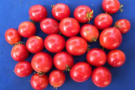 Afbeeldingsresultaat voor brandywine cherry tomato