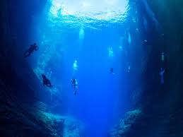 Image result for Blue Water Diving