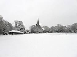 Image result for Chiddingly Cricket Club