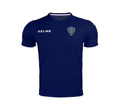 Image result for Matlock Cricket Club