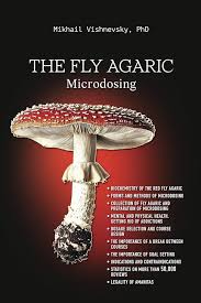 Attēlu rezultāti vaicājumam “Amanita muscaria”