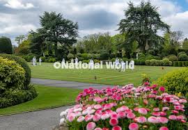 Image result for Brodsworth Main Cricket Club