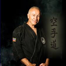 Image result for Abbey Fit Karate Club & Seiki Juku