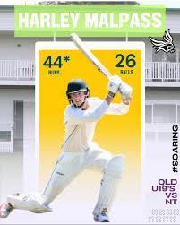 Image result for Runnymede Rascals Cricket Club