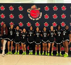 Image result for Hn Ladies Netball Club