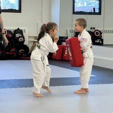 Image result for Vipers Thai/Kickboxing School