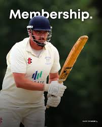 Image result for Buckhorn Weston Cricket Club