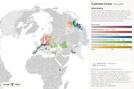 Attēlu rezultāti vaicājumam “Grus grus eggs”