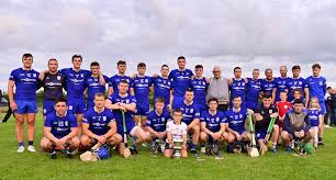Image result for Sarsfields Hurling Club
