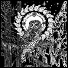 Attēlu rezultāti vaicājumam “Strigiformes”