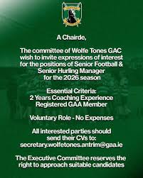 Image result for Wolfe Tones Gaelic Athletic Club