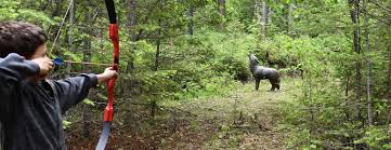 Image result for Argyll Field Archers