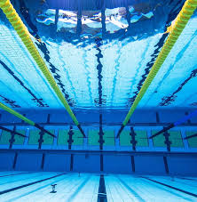 Image result for Corsham Amateur Swimming Club