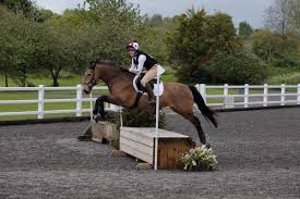 Image result for Abinger Forest Riding Club