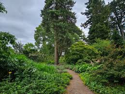 Image result for Genbukan Edinburgh