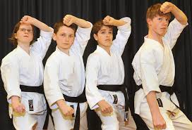 Image result for Haxby karate club