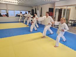 Image result for Plymouth Karate Club Kyokai