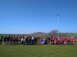 Image result for Milford Haven R F C
