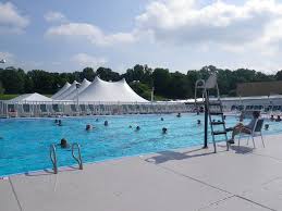 Image result for Chesterfield Swimming Club