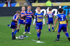 Image result for Holderness Vikings Amateur Rugby League Football Club