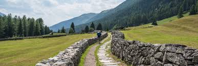 Image result for Alpendistel